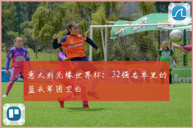 意大利足球世界杯失利：战术失误还是人才断档？